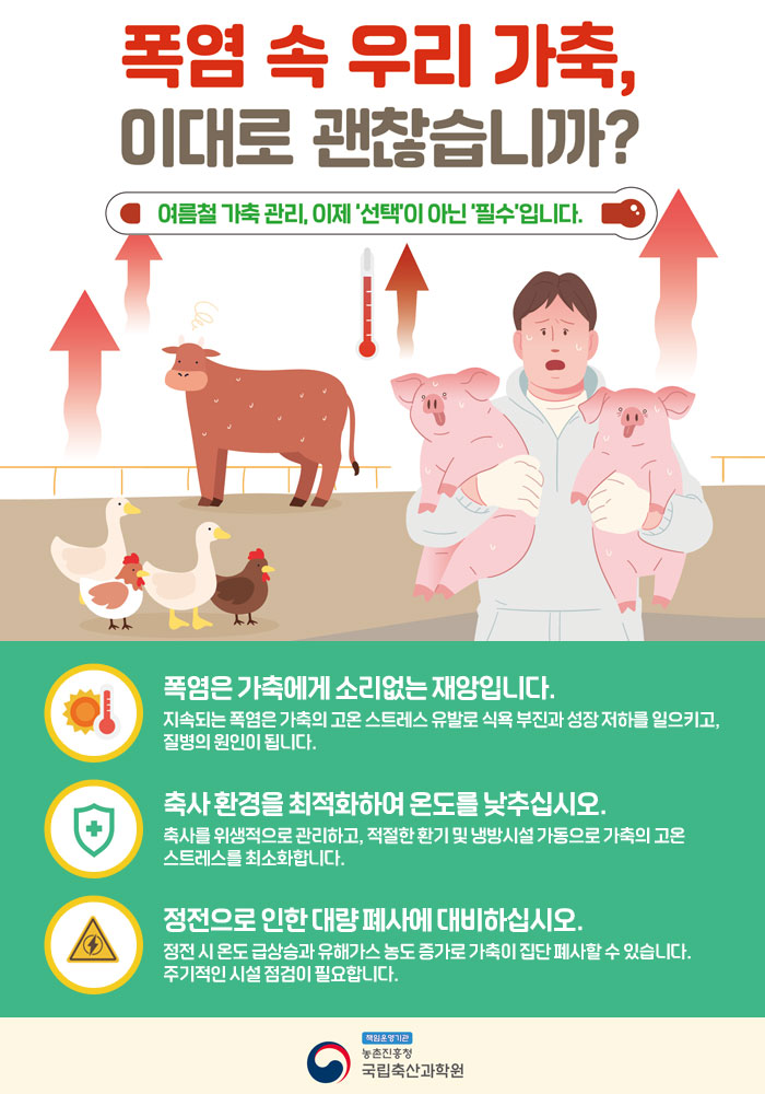 여름철_고온기_가축관리